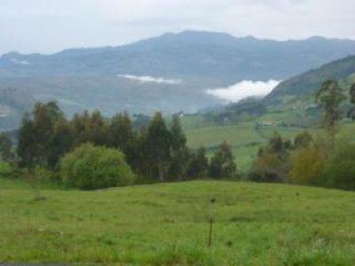 El Hogar De La Castanera Διαμέρισμα Colombres Εξωτερικό φωτογραφία